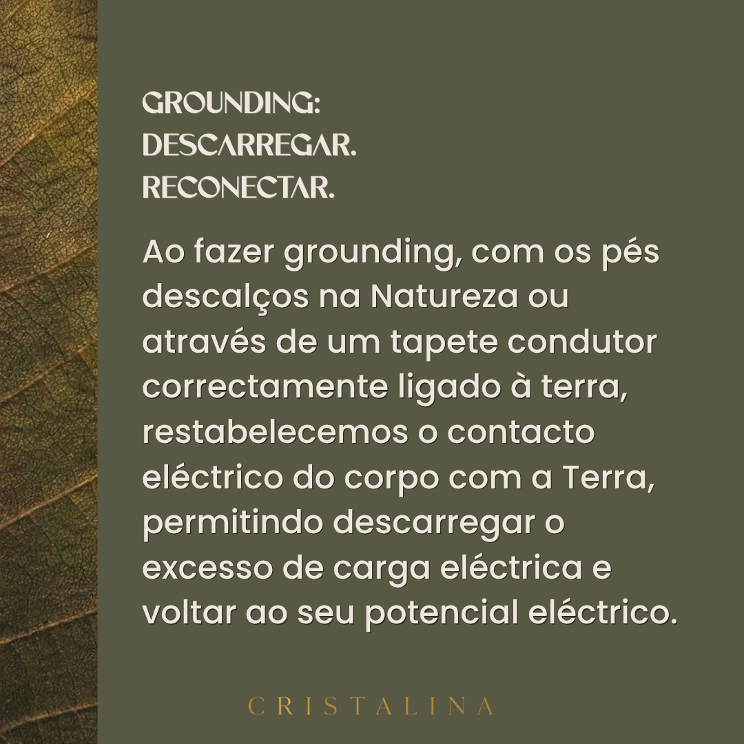 REGENERATION DAY - 6 horas dedicadas ao teu corpo