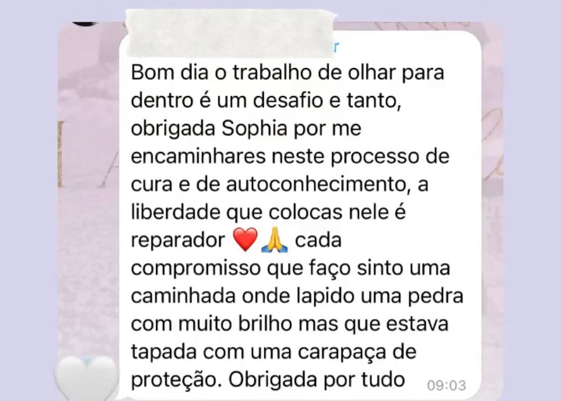 O Portal | PROGRAMA mensal ⏂