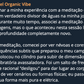 RODA DE CURA MENSAL | Campo de Cura e Regeneração | Online Dia 24 de Outubro | 16h